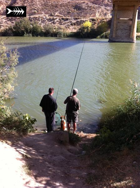 2011-10-07 Caspe 2011 001.jpg - Pierre, Edouard et Voxie aux ablettes